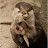 @user-hc9kl6op4j