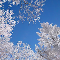 北風アイコン画像