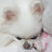 @보라보라-f5s