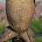 @udelbiawak4405