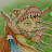 @jamesbeckerton1730's avatar