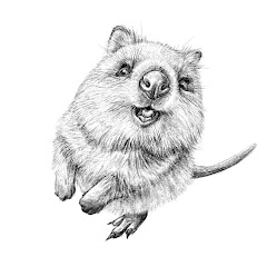Quokka Fashions