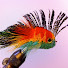 WgXN5Z85u0Y-channel-avatar-Pierre Jean