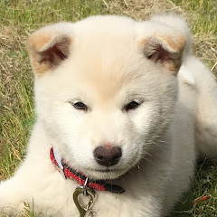 里山日記 Herbal Life In Japan