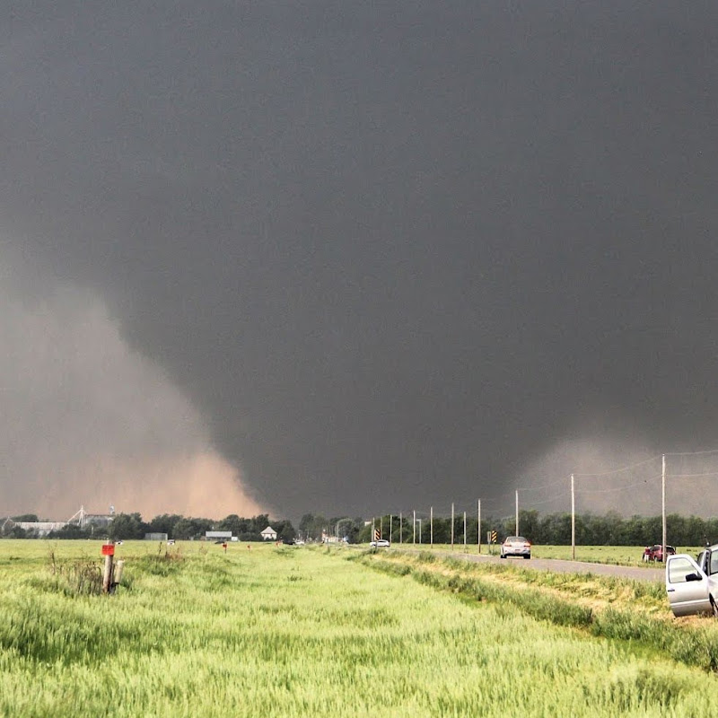 Max Olson Chasing Logo