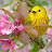 @needofspirituality2778