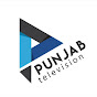 Punjab Television logo