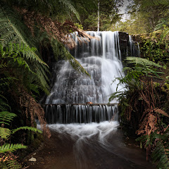 Waterfalls of Tasmania