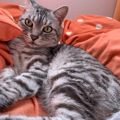 荒木チャンネル