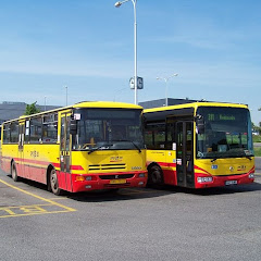 Pedros Vozomixos