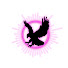 -j7r-6J6_tU-channel-avatar-Cross Paw