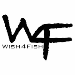 Wish4Fish Avatar