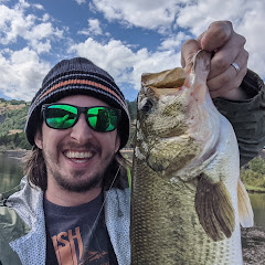 Fish and Forage