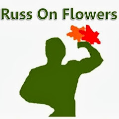 Russ Wholesale Flowers Avatar