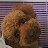 @user-vs5vr2eo3f