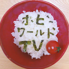 ホビーワールドTV