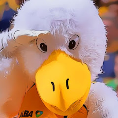 Albatross 2K from Berlin