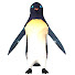 8_aQjIt2BMc-channel-avatar-Arie Noort