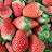 @strawberrymansour