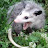 @OvercomingAwkward's avatar