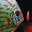 @AdyM35 Avatar