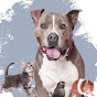 Burbank Animal Shelter logo