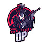 proexpert op logo