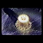 Nuclear Vault Avatar