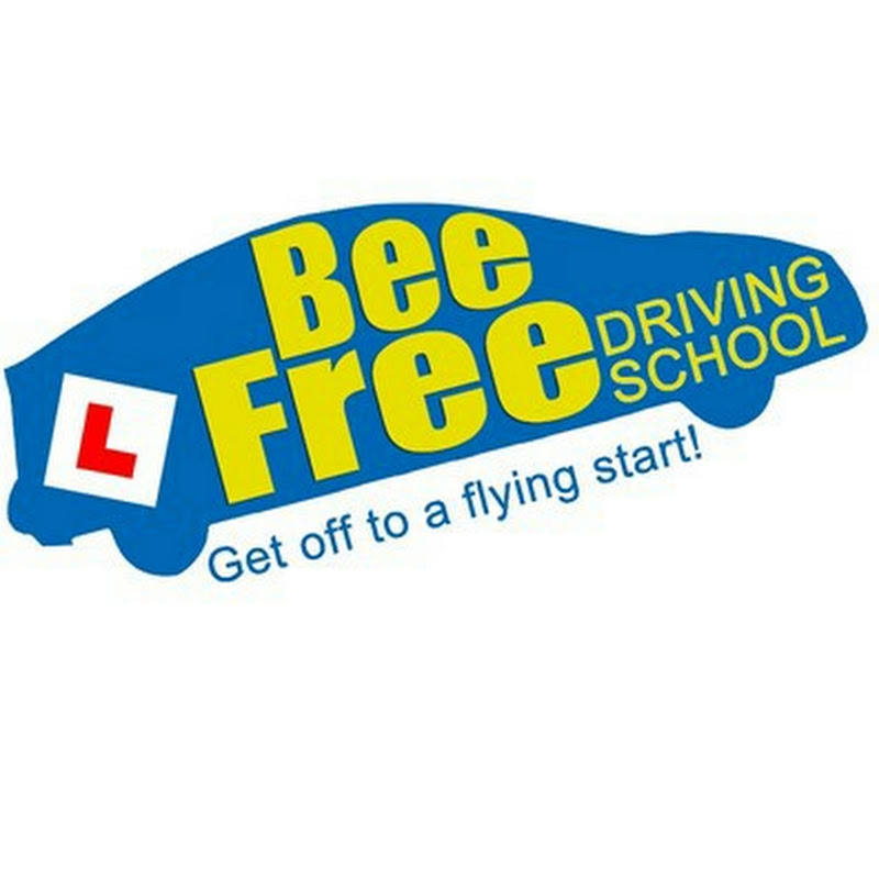 Bee Free Driving School