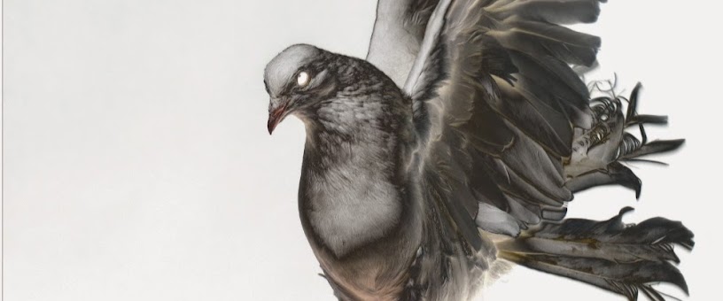Artist Thumbnail