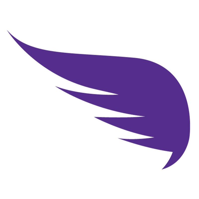 Soul Flyte