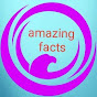 Electric fact logo