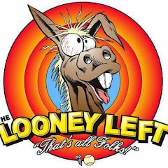 OccupyDemocratsParody