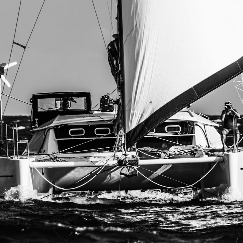 Catamaranblacklion