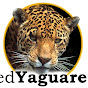 Red Yaguareté