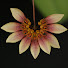 3U4NPTOvvjM-channel-avatar-Lam WN