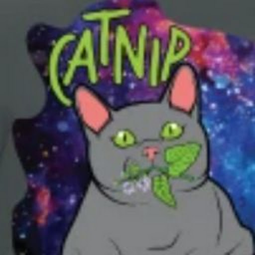 Space Catnip