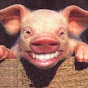 TheMadPiggy