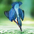 9t9zZoX3YU0-channel-avatar-Unlyca