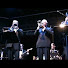 DTR0rhOS9iU-channel-avatar-swingyoucats
