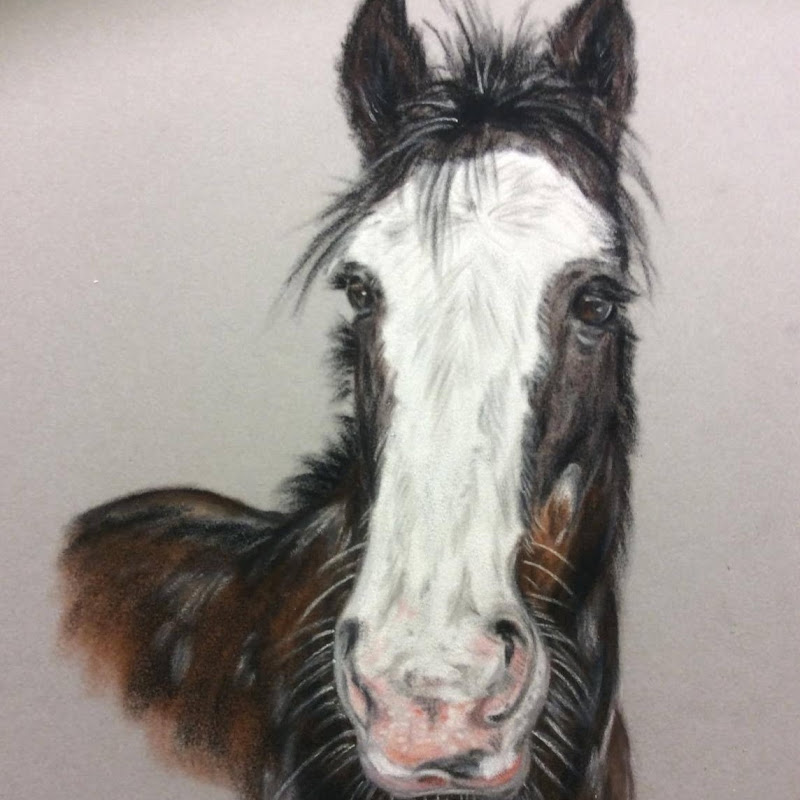 Adventures of Jodie the Shire Horse icon