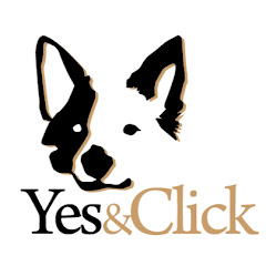 HechiAsia Yes&Click channel logo