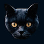 Alpha Cats