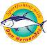 jlKBlURlky8-channel-avatar-sport-fishing.com