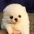 @suyounglee8400