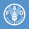 What could Food and Agriculture Organization of the United Nations buy with $100 thousand?