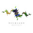 oX3-wL1-xEY-channel-avatar-Buckland Architects