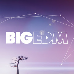 Big EDM Sounds