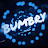 BUMBRY TUBE