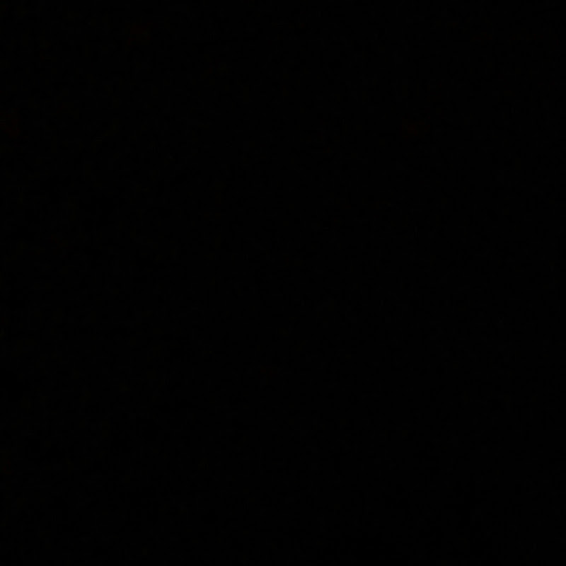 bj들의일상 TV
